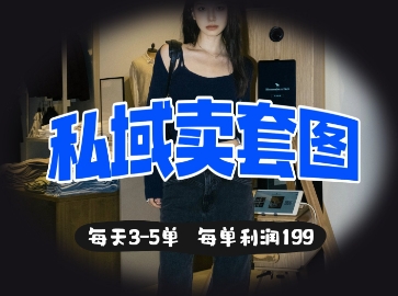 私域卖套图每天3-5单，每单利润99_免费分享网络创业,副业,信息差项目的老牌资源整合平台！金铲子项目
