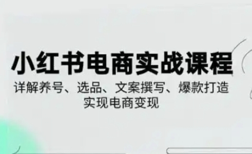 小红书从0-1实操课(2023-2025)，详解养号、选品、文案撰写、爆款打造实现电商_免费分享网络创业,副业,信息差项目的老牌资源整合平台！金铲子项目