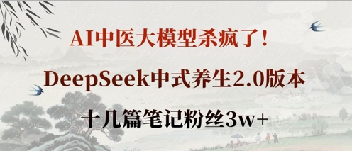 AI中医大模型杀疯了DeepSeek中式养生2.0版本，十几篇笔记粉丝_免费分享网络创业,副业,信息差项目的老牌资源整合平台！金铲子项目