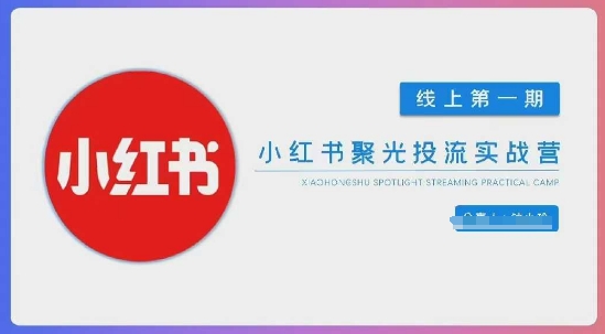 小红书聚光陪跑第一期，教你从0到1玩转小红书聚光投流，搭建小红书付费投流团队，更快的见到效果_免费分享网络创业,副业,信息差项目的老牌资源整合平台！金铲子项目