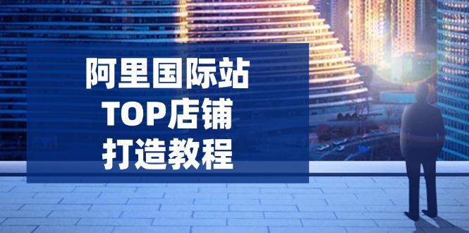 （14269期）阿里国际站TOP店铺打造教程：涵盖平台到高阶，解决运营难题，提升询盘_免费分享网络创业,副业,信息差项目的老牌资源整合平台！金铲子项目