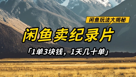闲鱼卖纪录片1单3块钱，1天几十单，项目稳定有潜力_免费分享网络创业,副业,信息差项目的老牌资源整合平台！金铲子项目