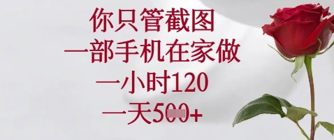 你只管截图，一部手机在家做，苹果安卓都可以，一小时120，一天_免费分享网络创业,副业,信息差项目的老牌资源整合平台！金铲子项目