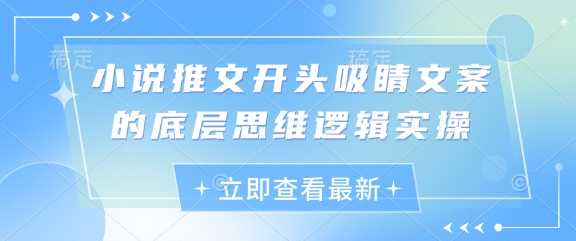 小说推文开头吸睛文案的底层思维逻辑实操_免费分享网络创业,副业,信息差项目的老牌资源整合平台！金铲子项目