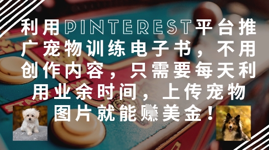 利用Pinterest平台推广宠物训练电子书，不用创作内容，只需要每天利用业余时间，上传宠物图片就能挣美金_免费分享网络创业,副业,信息差项目的老牌资源整合平台！金铲子项目