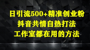 日引流精准创业粉，抖音共情自热打法，工作室都在用的方法_免费分享网络创业,副业,信息差项目的老牌资源整合平台！金铲子项目