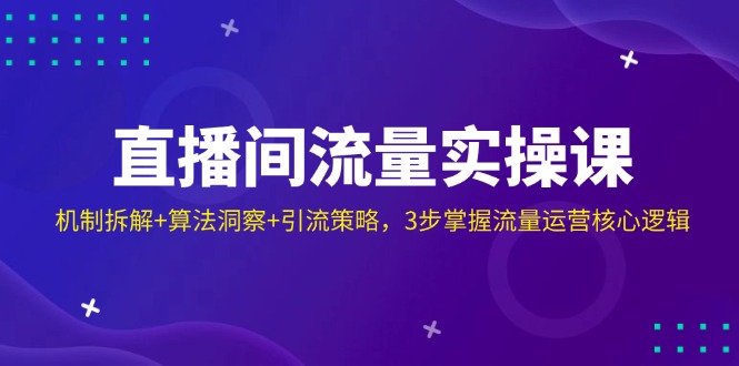 （14122期）直播间流量实操课：机制拆解算法洞察引流策略，3步掌握流量运营核心逻辑_免费分享网络创业,副业,信息差项目的老牌资源整合平台！金铲子项目