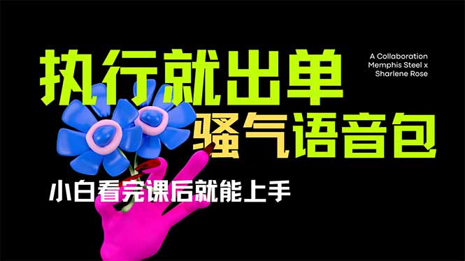 （14170期）爆火全网的开车导航骚气语音包,只要执行就出单，小白看完课程就能实操…_免费分享网络创业,副业,信息差项目的老牌资源整合平台！金铲子项目