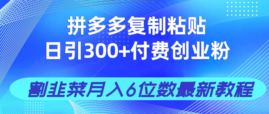 （14232期）拼多多复制粘贴日引付费创业粉，割韭菜6位数最新教程_免费分享网络创业,副业,信息差项目的老牌资源整合平台！金铲子项目