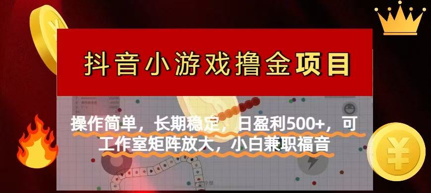 （14290期）【抖音小游戏发行人计划项目】操作简单，长期稳定，日盈利，可工作…_免费分享网络创业,副业,信息差项目的老牌资源整合平台！金铲子项目
