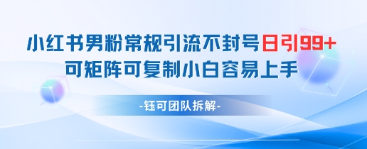 小红书男粉常规引流不封号日引99简单可矩阵可复制小白容易上手_免费分享网络创业,副业,信息差项目的老牌资源整合平台！金铲子项目