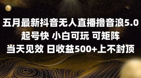 2025五月最新无人直播撸音浪出实操教程_免费分享网络创业,副业,信息差项目的老牌资源整合平台！金铲子项目