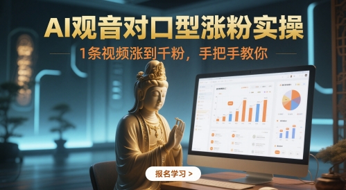 AI观音对口型涨粉实操，1条视频涨到千粉，手把手教你_免费分享网络创业,副业,信息差项目的老牌资源整合平台！金铲子项目