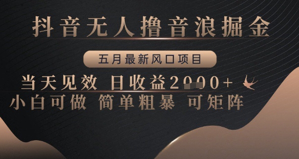 抖音无人撸音浪掘金，五月最新风口项目，见效，日，小白可做简单粗暴可矩阵_免费分享网络创业,副业,信息差项目的老牌资源整合平台！金铲子项目
