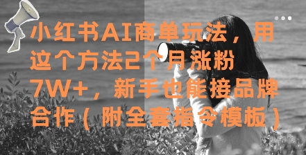 小红书AI商单玩法，用这个方法2个月涨粉，新手也能接品牌合作(附全套指令模板)_免费分享网络创业,副业,信息差项目的老牌资源整合平台！金铲子项目