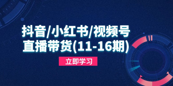 （14611期）抖音/小红书/视频号/直播带货（11-16期），快速掌握平台规则，打造爆款内容_免费分享网络创业,副业,信息差项目的老牌资源整合平台！金铲子项目