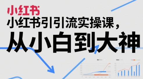 小红书引流实操课，从小白到大神_免费分享网络创业,副业,信息差项目的老牌资源整合平台！金铲子项目