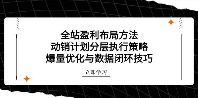 （14698期）全站盈利布局方法：动销计划分层执行策略，爆量优化与数据闭环技巧_免费分享网络创业,副业,信息差项目的老牌资源整合平台！金铲子项目