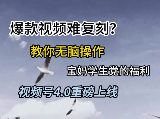 视频号4.0重磅上线，爆款视频难复刻？教你无脑操作宝妈学生党的福利_免费分享网络创业,副业,信息差项目的老牌资源整合平台！金铲子项目