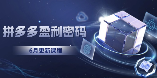 （15005期）拼多多盈利密码：从烧钱推广到印钞模型，底层逻辑重构指南（6月更新）_免费分享网络创业,副业,信息差项目的老牌资源整合平台！金铲子项目