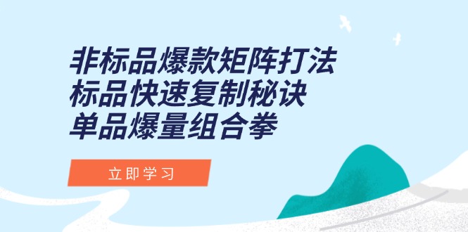 （15068期）非标品爆款矩阵打法，标品快速复制秘诀，单品爆量组合拳_免费分享网络创业,副业,信息差项目的老牌资源整合平台！金铲子项目