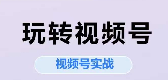 玩转视频号，视频号实战系列课_免费分享网络创业,副业,信息差项目的老牌资源整合平台！金铲子项目