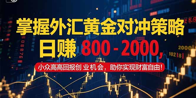 （15198期）掌握外汇黄金对冲策略，800–2000，小众高回报创业机会，助你实…_免费分享网络创业,副业,信息差项目的老牌资源整合平台！金铲子项目