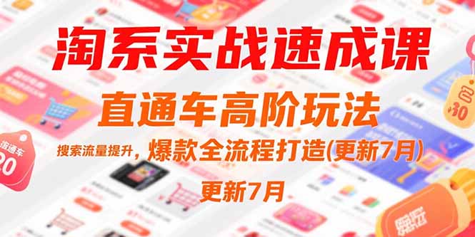 （15374期）淘系实战速成课，直通车高阶玩法，搜索流量提升，爆款全流程打造(更新7月)_免费分享网络创业,副业,信息差项目的老牌资源整合平台！金铲子项目