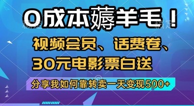 薅羊毛视频会员、话费卷、30元电影票白送，分享我如何靠转卖一天_免费分享网络创业,副业,信息差项目的老牌资源整合平台！金铲子项目