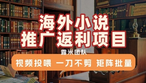 海外小说推广返利项目，视频投喂，一刀不剪，矩阵批量_免费分享网络创业,副业,信息差项目的老牌资源整合平台！金铲子项目