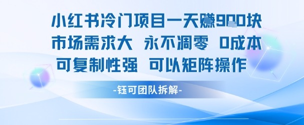 小红书冷门项目一天，市场需求大可复制性强可以矩阵操作_免费分享网络创业,副业,信息差项目的老牌资源整合平台！金铲子项目