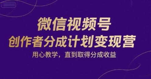微信视频号创作者分成计划营，用心教学，直到取得分成_免费分享网络创业,副业,信息差项目的老牌资源整合平台！金铲子项目