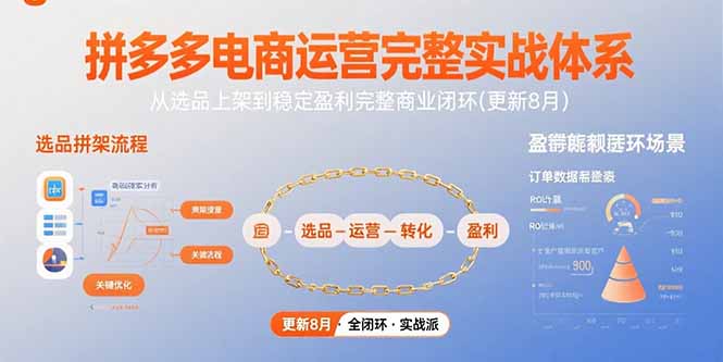 （15579期）拼多多电商运营完整实战体系，从选品上架到稳定盈利完整商业闭环(更新8月)_免费分享网络创业,副业,信息差项目的老牌资源整合平台！金铲子项目