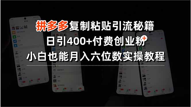（15613期）拼多多复制粘贴引流秘籍，日引付费创业粉，小白也能六位数实操…_免费分享网络创业,副业,信息差项目的老牌资源整合平台！金铲子项目