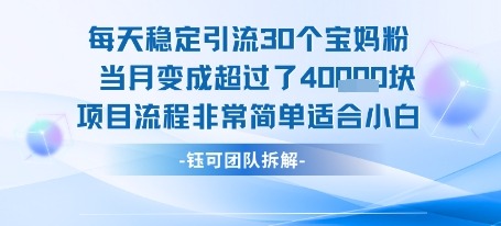 每天稳定引流30个人当月变成超过了4个W项目流程非常简单适合小白_免费分享网络创业,副业,信息差项目的老牌资源整合平台！金铲子项目