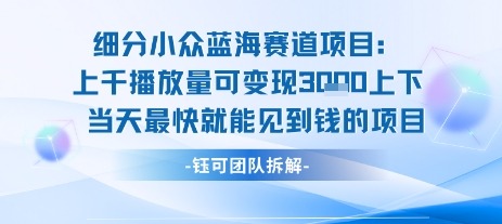 小众蓝海赛道项目：适合新手操作适合长期玩_免费分享网络创业,副业,信息差项目的老牌资源整合平台！金铲子项目