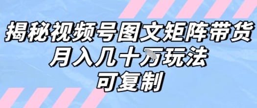 解密视频号图文矩阵带货，几个W的打法，可复制_免费分享网络创业,副业,信息差项目的老牌资源整合平台！金铲子项目