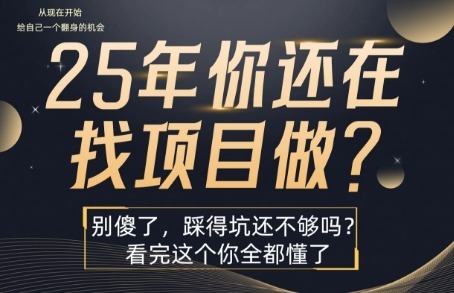25年，你还在疯狂的找项目吗？别傻了，看完这个你都懂了_免费分享网络创业,副业,信息差项目的老牌资源整合平台！金铲子项目