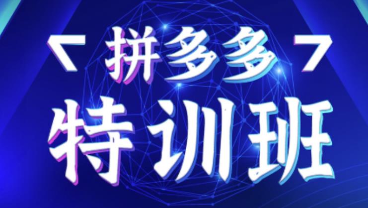 星雪教育·拼多多基础班进阶班突破班，用系统的学习模式快速改状价值3580元_免费分享网络创业,副业,信息差项目的老牌资源整合平台！金铲子项目