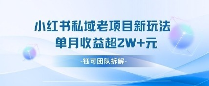 小红书私域项目新玩法，单月过W_免费分享网络创业,副业,信息差项目的老牌资源整合平台！金铲子项目