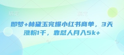 即梦林黛玉完爆小红书商单，3天涨粉，靠怼人_免费分享网络创业,副业,信息差项目的老牌资源整合平台！金铲子项目