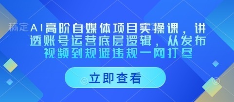 AI高阶自媒体项目实操课，讲透账号运营底层逻辑，从发布视频到规避违规一网打尽_免费分享网络创业,副业,信息差项目的老牌资源整合平台！金铲子项目
