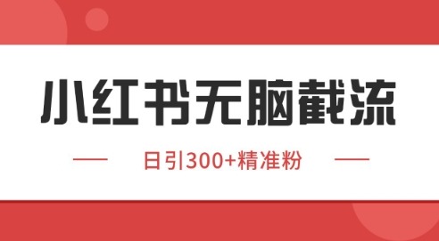 小红书截流同行客源，独家野路子获客玩法日引暴力获客_免费分享网络创业,副业,信息差项目的老牌资源整合平台！金铲子项目