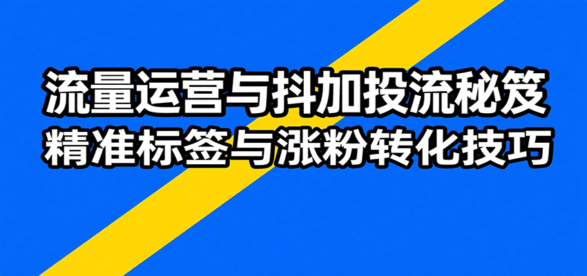 流量运营与抖加投流秘笈，含算法解析、爆款打造、精准标签与涨粉转化技巧_免费分享网络创业,副业,信息差项目的老牌资源整合平台！金铲子项目