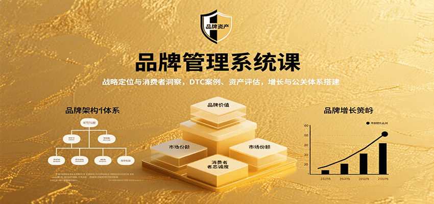 品牌管理系统课：战略定位与消费者洞察，DTC案例、资产评估，增长与公关体系搭建_免费分享网络创业,副业,信息差项目的老牌资源整合平台！金铲子项目