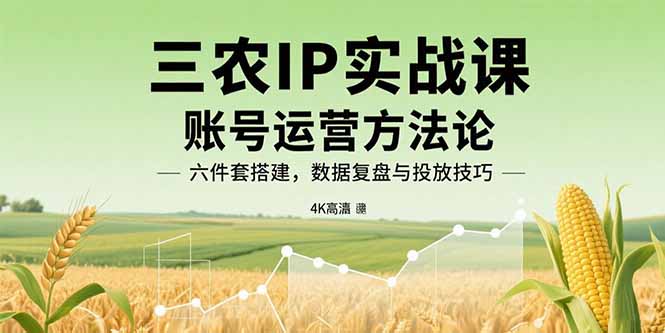 （15864期）三农IP实战课：账号运营方法论，六件套搭建，数据复盘与投放技巧_免费分享网络创业,副业,信息差项目的老牌资源整合平台！金铲子项目