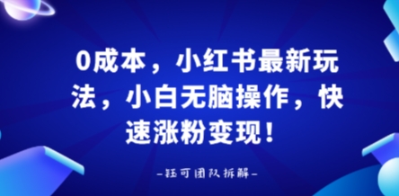 ，小红书最新玩法，小白无脑操作，快速涨粉_免费分享网络创业,副业,信息差项目的老牌资源整合平台！金铲子项目