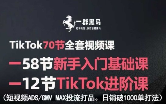 TikTok全套视频课，新手入门进阶课，短视频ADS-GMVMAX投流打品，破1000单打法_免费分享网络创业,副业,信息差项目的老牌资源整合平台！金铲子项目