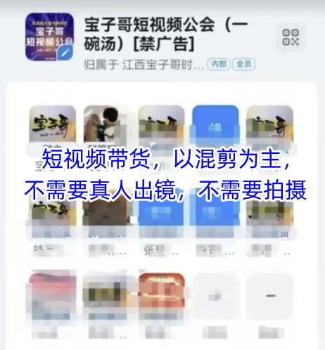 拼多多虚拟精细化少品玩法实操，小白0基础复制_免费分享网络创业,副业,信息差项目的老牌资源整合平台！金铲子项目