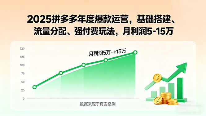 （15973期）2025拼多多年度爆款运营，基础搭建、流量分配、强付费玩法，月利润5-15万_免费分享网络创业,副业,信息差项目的老牌资源整合平台！金铲子项目